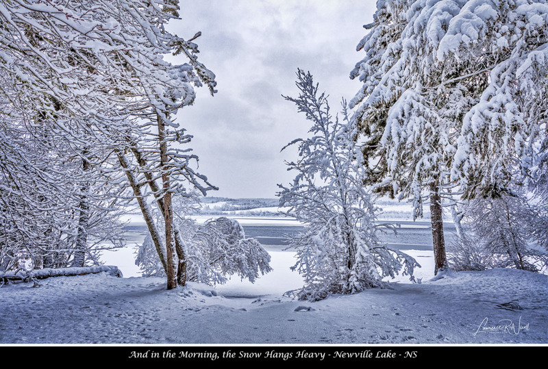 _LRN2390 -Newville Lake in the Snow .jpg