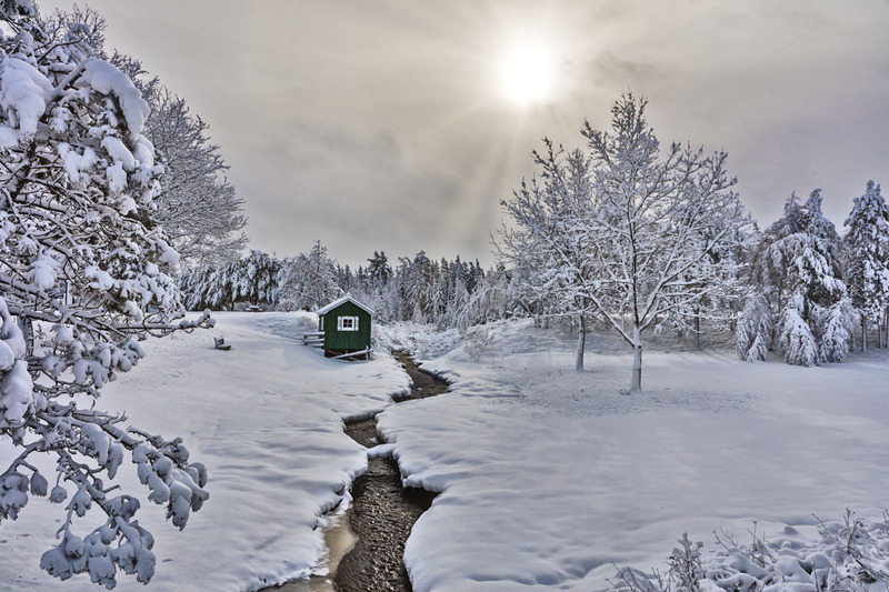 _LRN2577 Cabin on the Creeek -Nappan.jpg