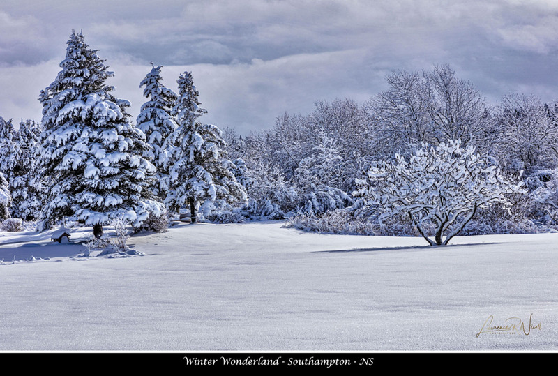 _LRN2656 -The Glory of the Storm .jpg