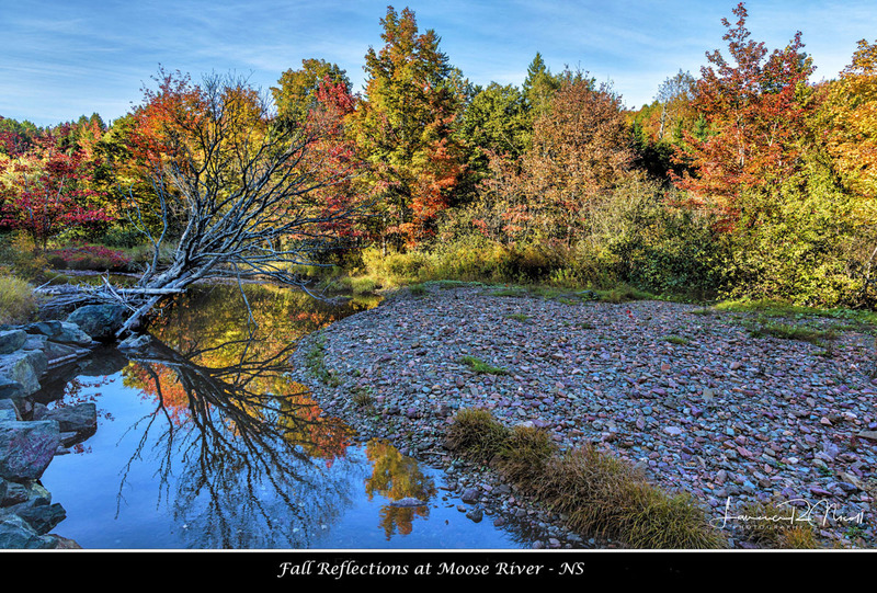 _LRN4108 -Moose River.jpg