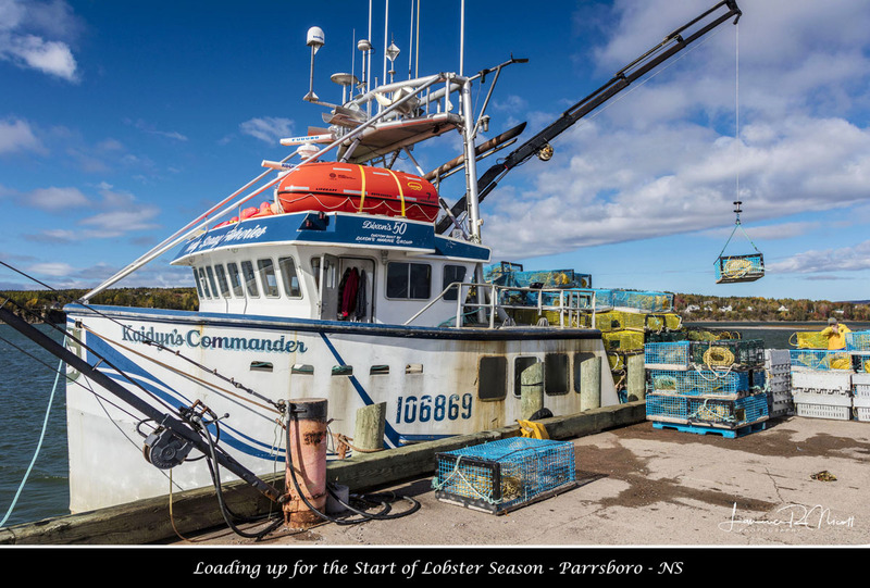 _LRN5198 -Start of Lobster season.jpg