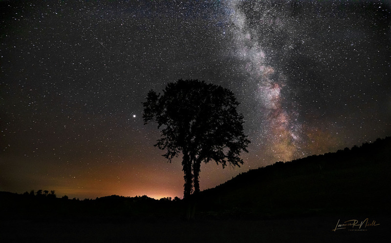 _LRN5541 -Lawrence R Nicoll -The Elm Tree and the Milky Way.jpg