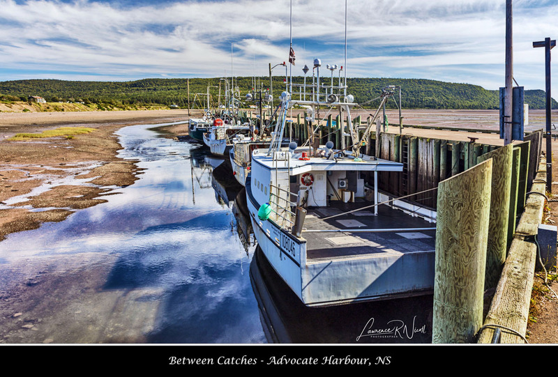 _LRN5668  -Between Lobster Seasons.jpg