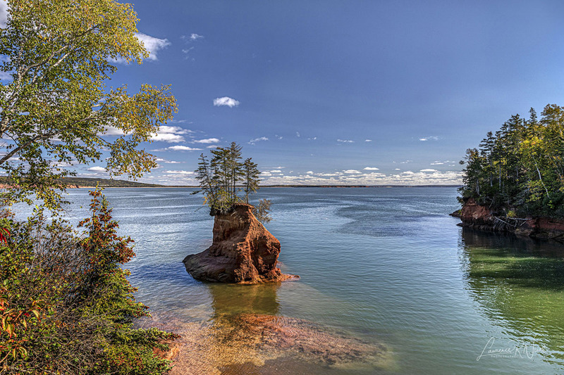 _LRN5776 -Ocean Flowerpot.jpg