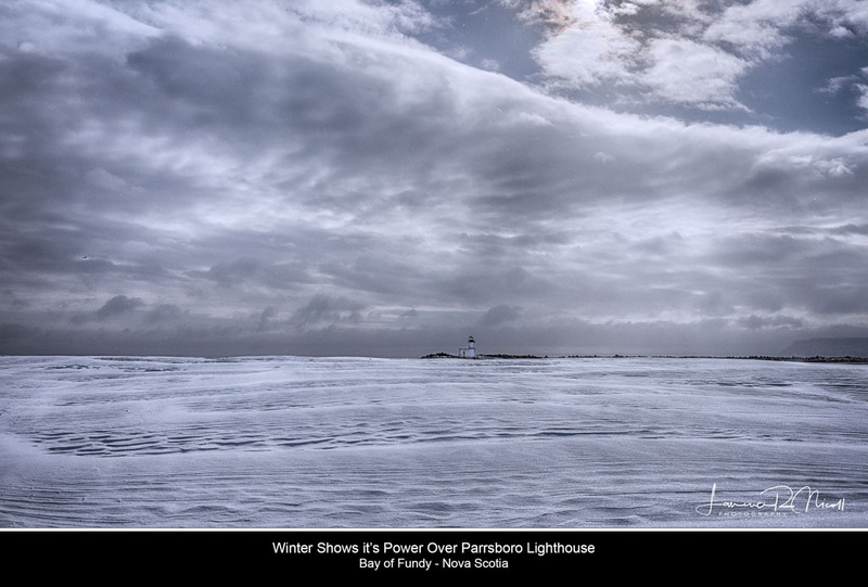 _LRN7277 -Winter day in the Hargbour(1).jpg