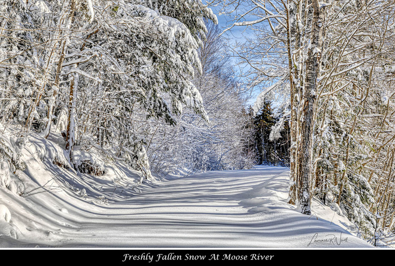 _LRN7430 -After the Storm(1).jpg