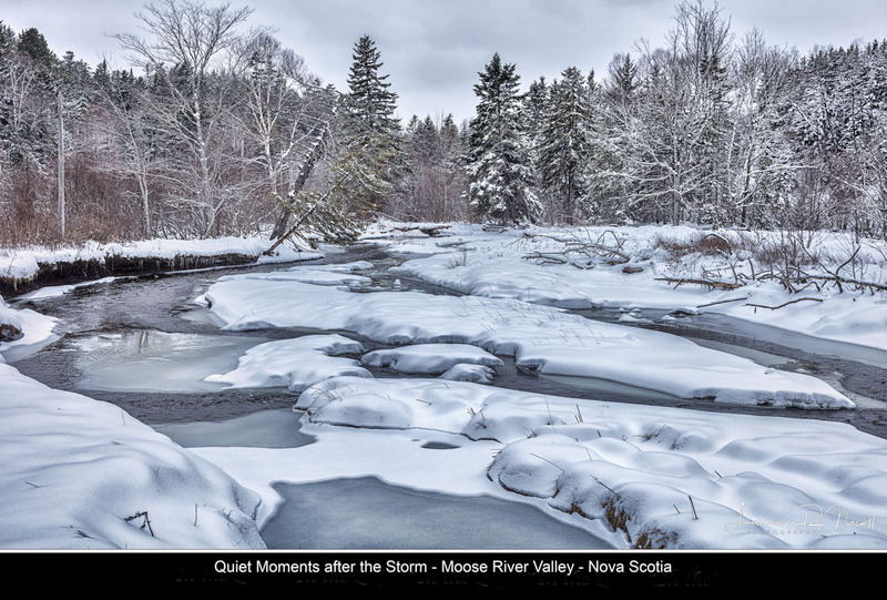 _LRN9044 -Carpets of Snow (1).jpg