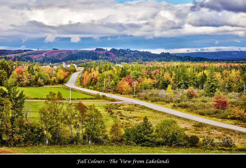 _LRN9323  -Fall in the Country (1).jpg