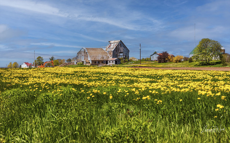 _LRN9552 -Construction - Destruction.jpg
