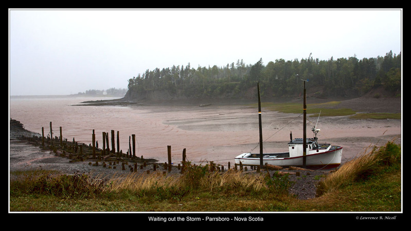 _MG_-2810-2819 -Foggy Morning.jpg