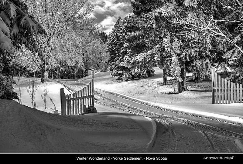 _MG_0166 -Winter Wonderland .jpg