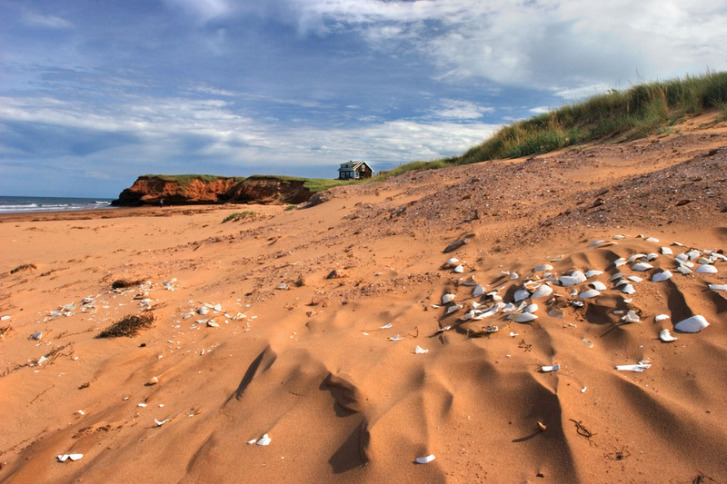 _MG_0404 -PEI Clam Feast.jpg :: Beaches nr Irishtown Rd