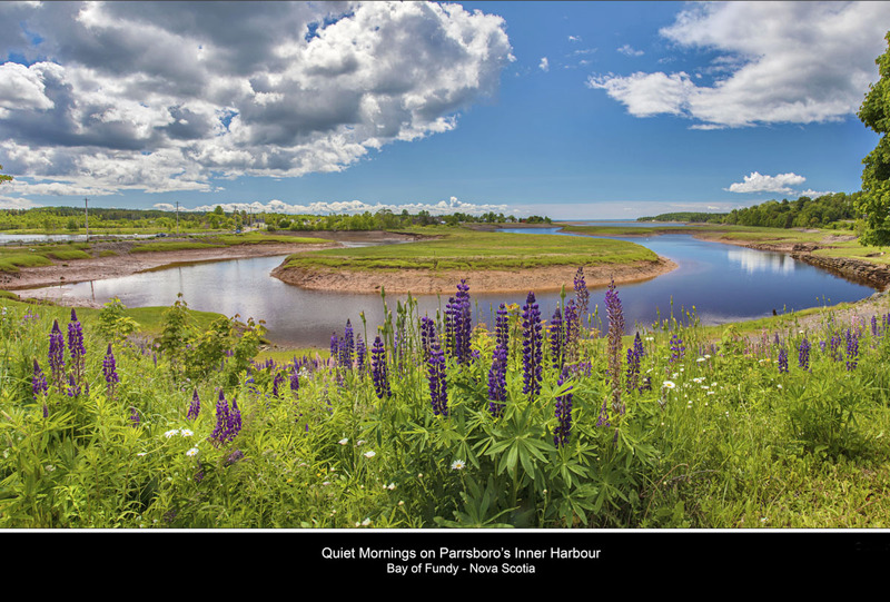 _MG_0715-0780 -The Gooseneck .jpg