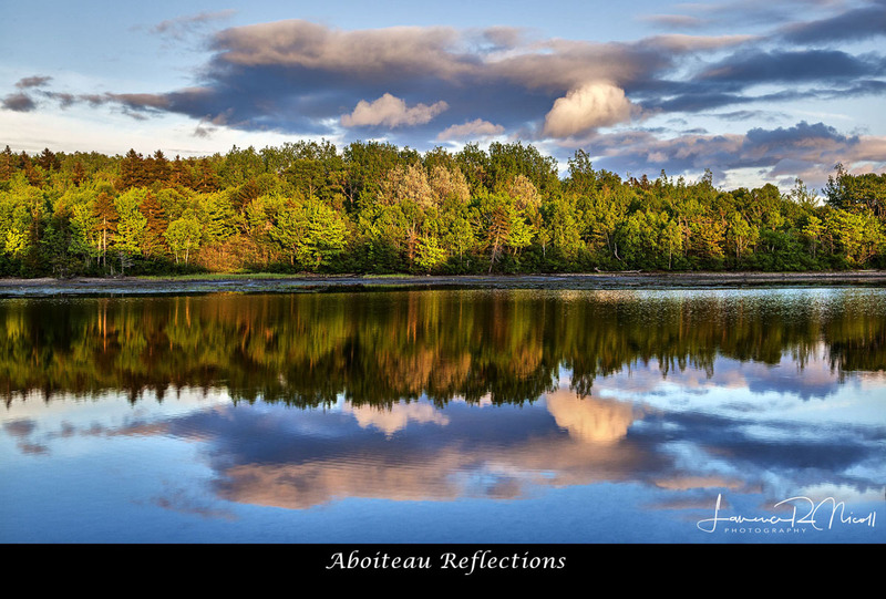_MG_2123 -The Aboiteau Reflectons .jpg