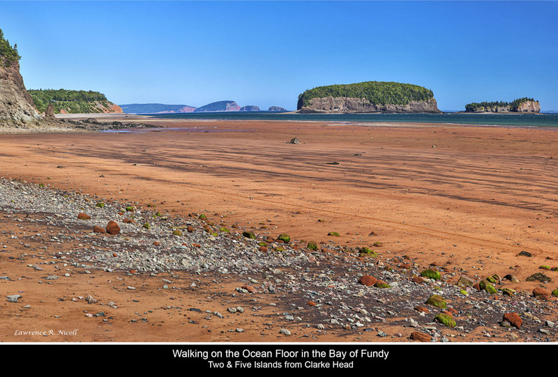_MG_2330-2367 -Walking the Ocean Floor.jpg