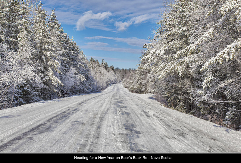 _MG_2490 -Morning After.jpg