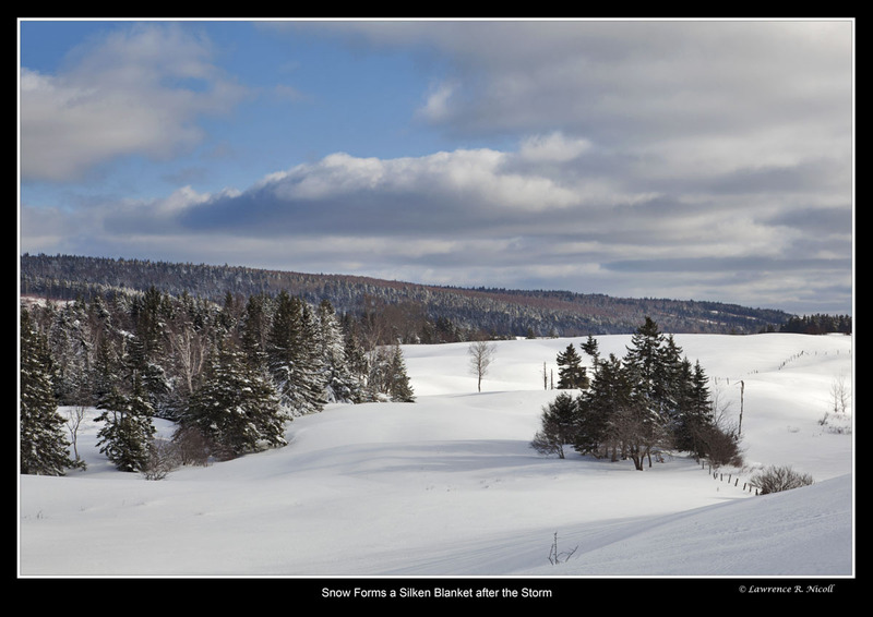 _MG_2923 -Snow Lay like a blanket.jpg