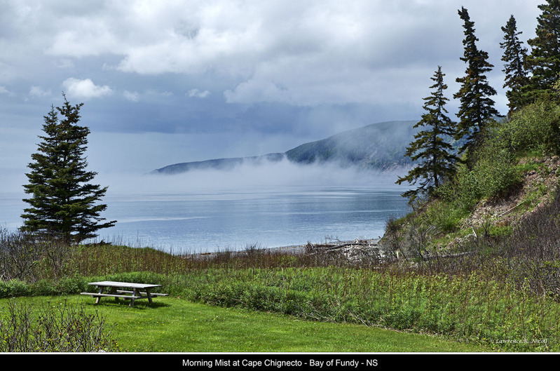 _MG_2944 -Fog over Cape Chignecto.jpg