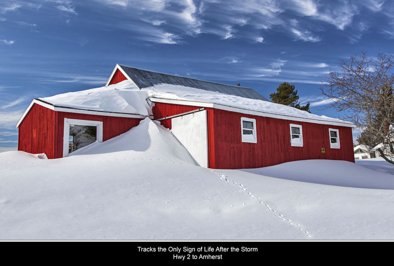 _MG_3196 -Tracks in the Snow .jpg