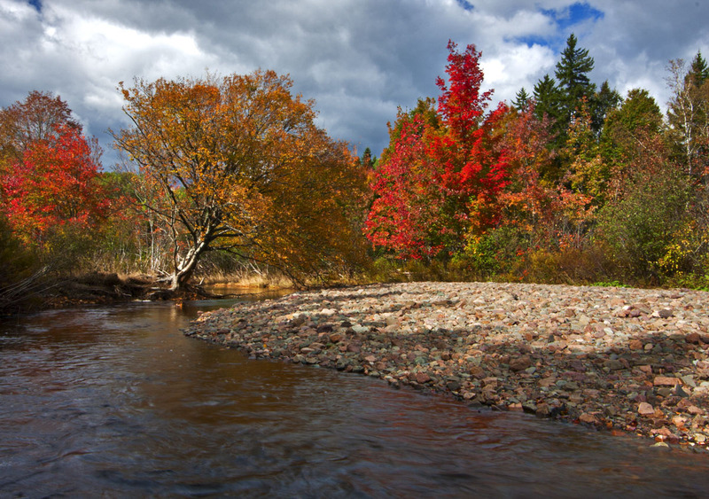 _MG_3423 -A Fall Celebration .jpg