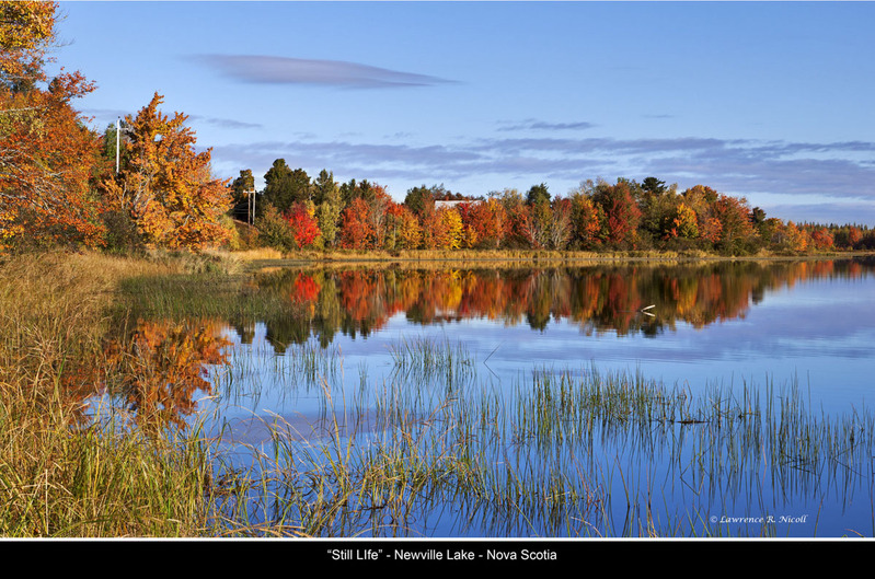 _MG_3518 -Newville Lake.jpg