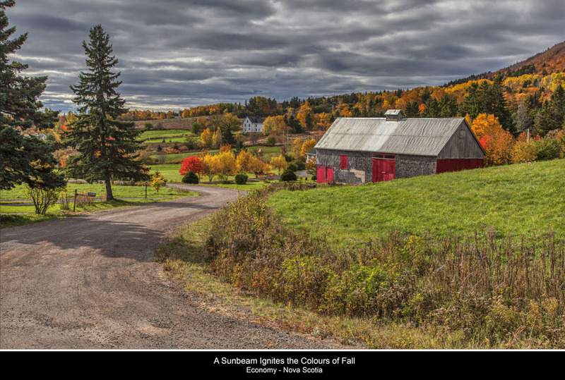 _MG_3521 Soley Cove Rd in the Fall .jpg