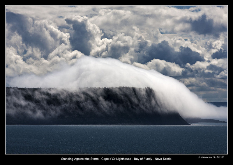 _MG_3849 -Cape DOr in the Fog .jpg