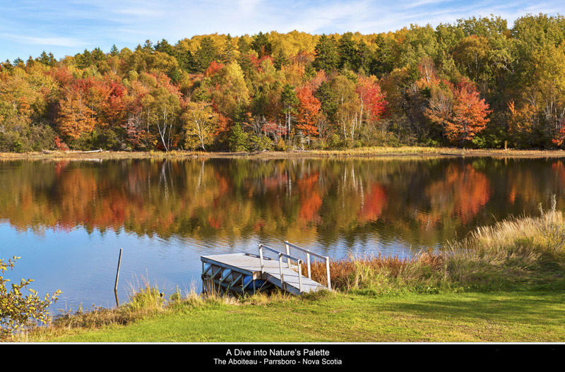 _MG_4057 -The Aboiteau.jpg