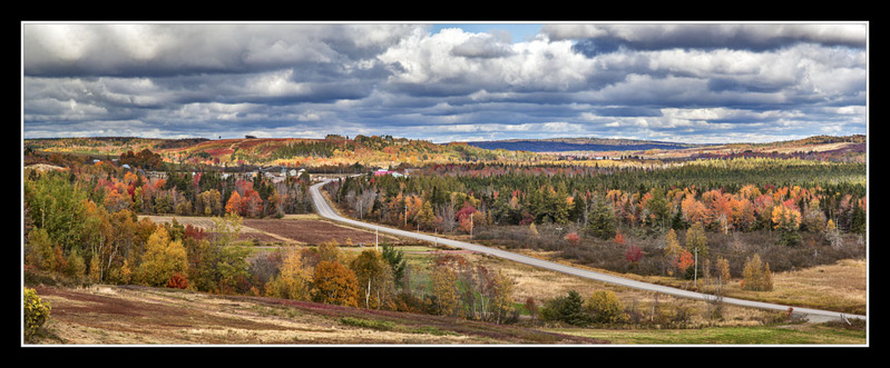 _MG_4871-4906 -Fall in the Country.jpg