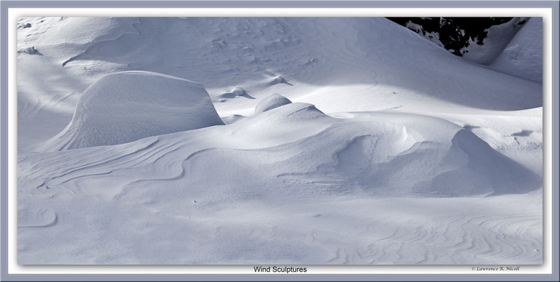 _MG_4884 -Snow Sculpture .jpg