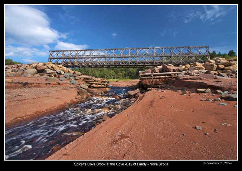 _MG_4897 -Spicers Cove.jpg