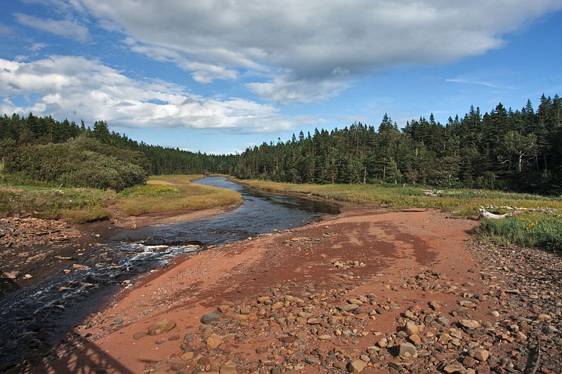 _MG_4951  -Spicers Cove and Brook -Web.jpg