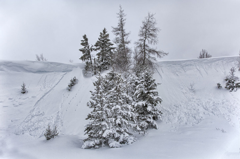 _MG_4975 -The Snow.jpg