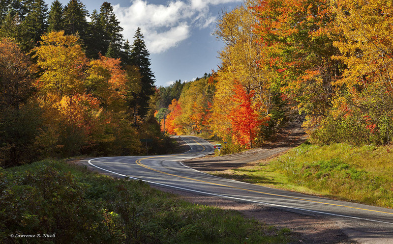 _MG_5269 -A Fall Drive and Winding Roadways.jpg