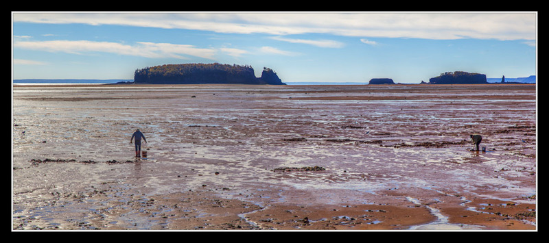 _MG_5468-5477 -Digging Clams at Low Tide.jpg