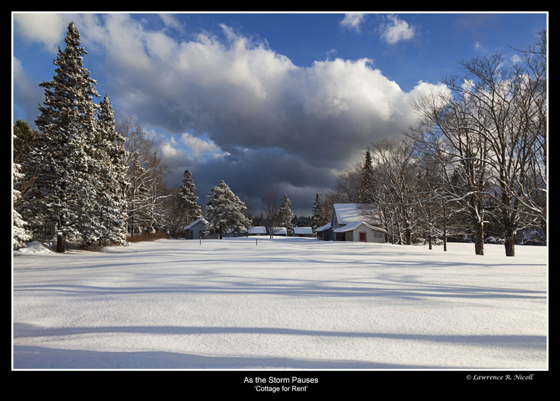 _MG_5473 -A Pause in the Storm.jpg