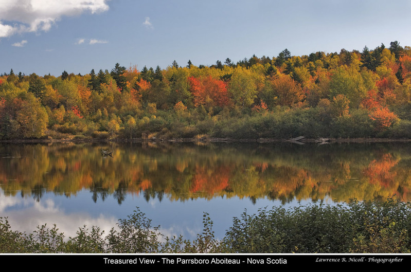 _MG_5516-5520 -Fall on The Aboiteau.jpg