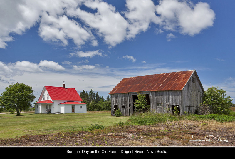 _MG_5591 -Country Farming.jpg