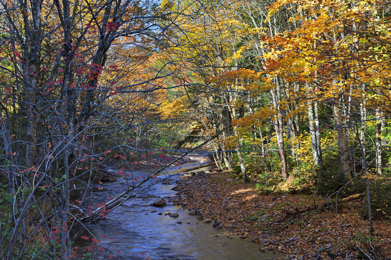 _MG_5948 -Hidden Places.jpg