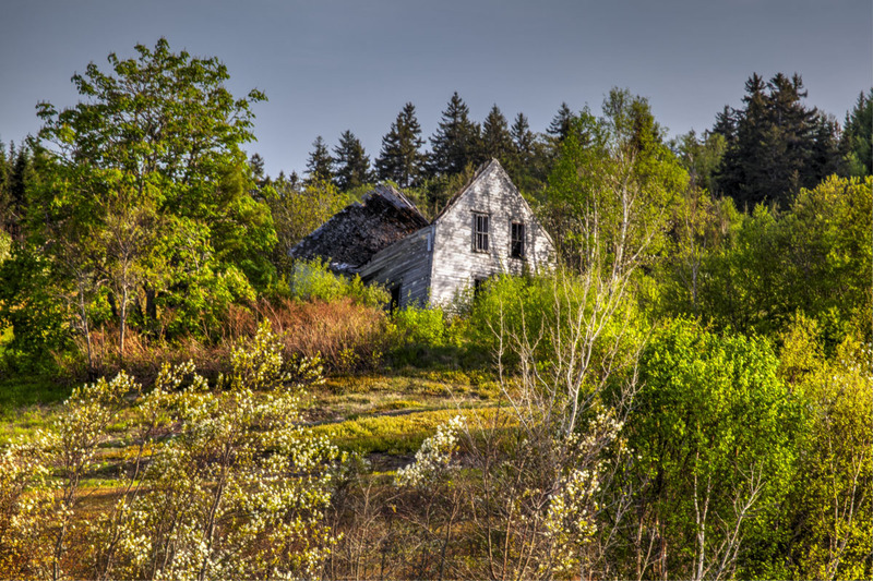 _MG_6302 -Its Day is Done.jpg