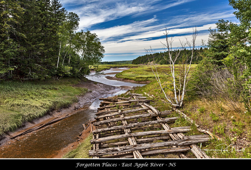_MG_6480 -The Old Boat Rampr.jpg