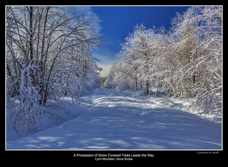 _MG_6728 -Pristine Paths.jpg