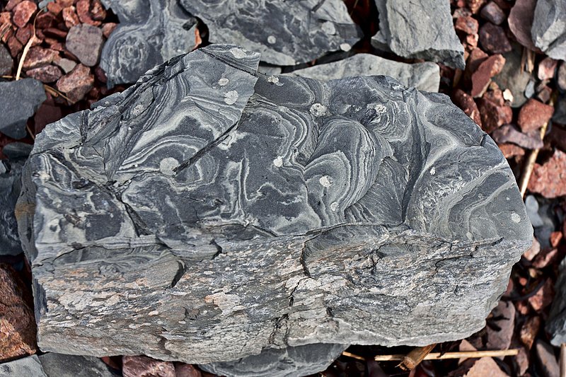 _MG_8681 -Spicers Cove -Rock -Web.jpg