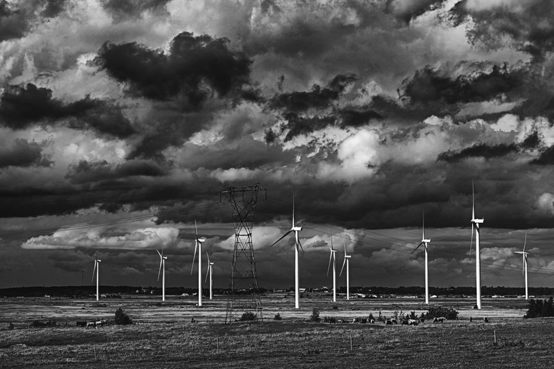 _MG_8713 -The Wind Farm(1).jpg
