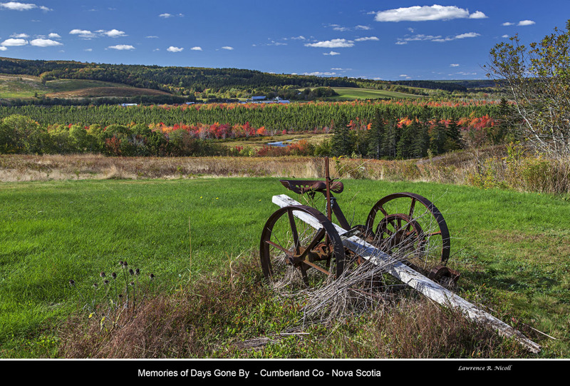 _MG_9298 -Fall in the Country(1).jpg