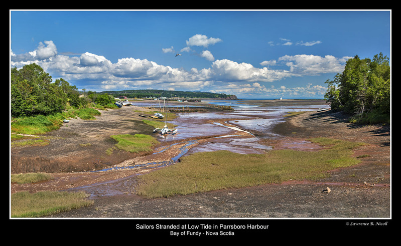 _MG_9414-9443 -Low Tide in the Harbour(1).jpg