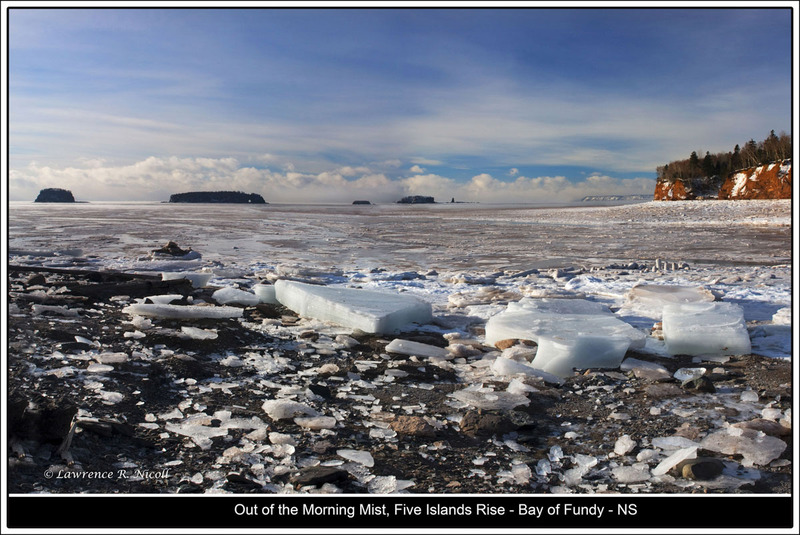 _MG_9520-9569 -Winters Day(1).jpg