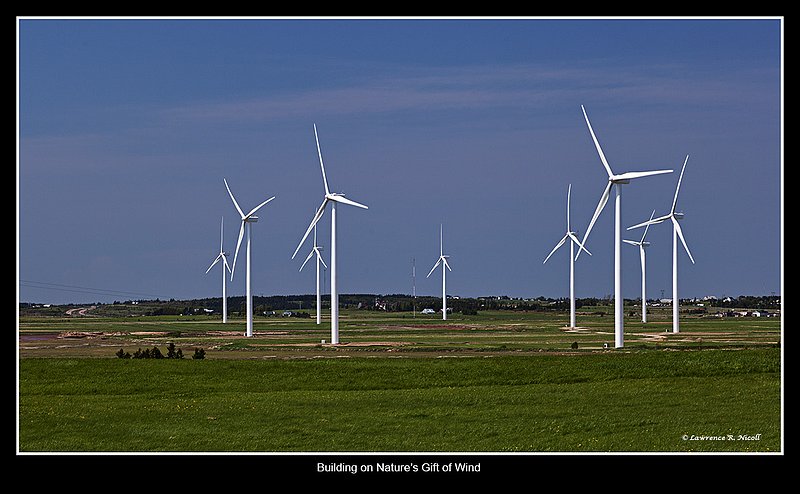 2590 -Wind Turbines in Amherst.jpg :: The marsh winds power the 15 turbines at Amherst