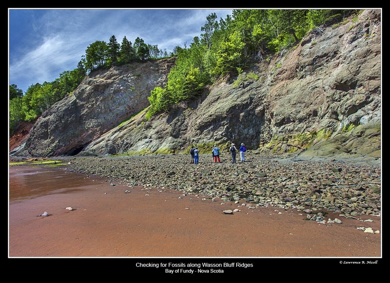 3078 -Dinosaur cliffs at Wasson Bluff.jpg :: Site of famous dinosaur finds, Wasson Bluffs, Parrsboro, NS