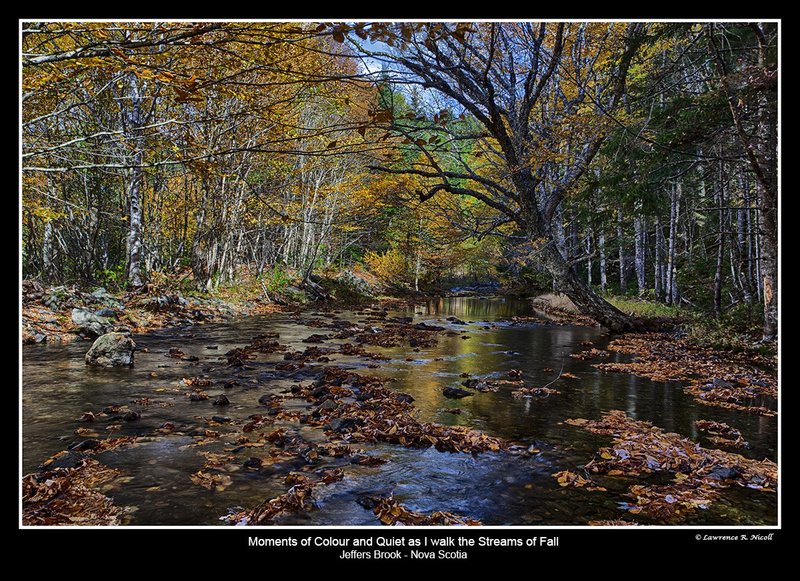 3267 -Magic Places.jpg :: Secret Places in nature's arms